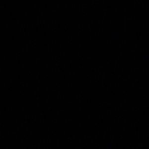 Meet your Posher, Kaylyn